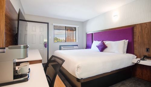 Room, 1 King Bed