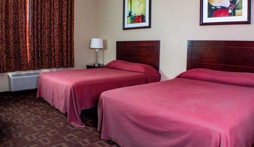 Basic Double Room