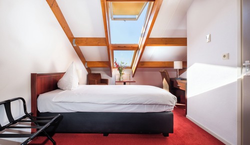 Single Room, 1 Twin Bed