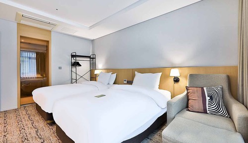 Premier Suite Movie & Rest Room (No parking allowed)