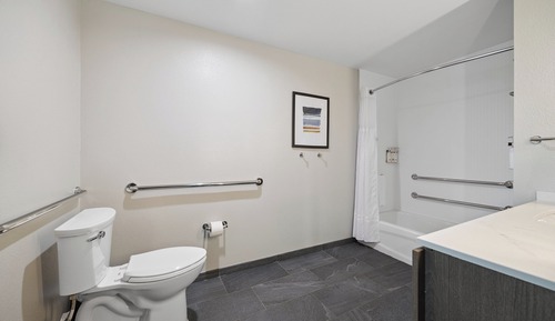 Suite, 1 Bedroom, Accessible, Kitchen (Mobility, Accessible Tub)