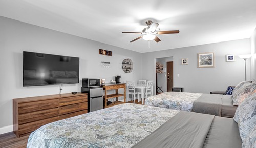 Luxury Studio Suite