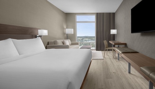 Room, 1 King Bed with Sofa bed, City View