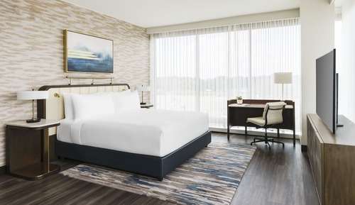 Regency, Suite, 1 King Bed with Sofa bed