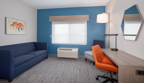 Suite, 1 King Bed, Accessible (Comms, Mobil, Roll-In Shower)