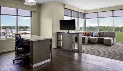 Suite, 1 Bedroom, Accessible, Kitchen (1 King Bed with Sofa bed, Bathtub)