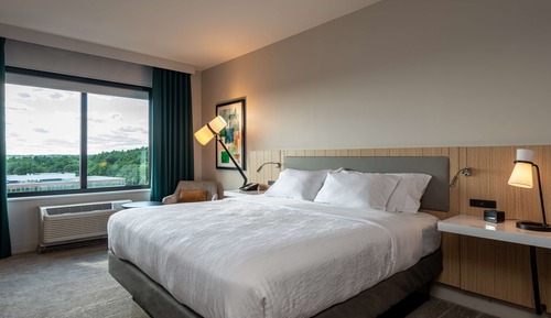Room, 1 King Bed
