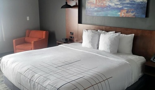 Room, 1 King Bed, Non Smoking