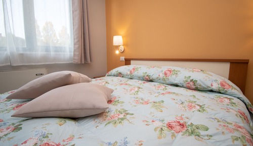 Basic Room, 1 Bedroom (Ibiscus)