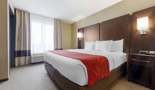 Suite, 1 King Bed with Sofa bed, Accessible