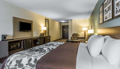 Suite, 1 King Bed, Accessible, Non Smoking