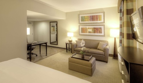Studio, 1 King Bed, Accessible (Mobility & Hearing, Roll-in Shower)