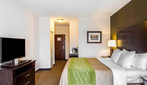 Standard Room, 1 King Bed, Non Smoking