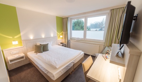 Comfort Double Room, 1 Double Bed
