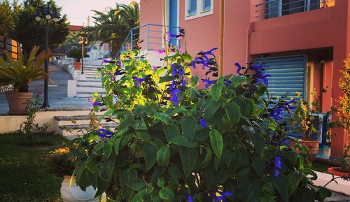 Comfort Apartment, 1 Bedroom, Balcony, Sea View