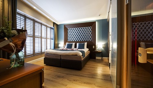 Deluxe Suite, Terrace (With infrared cabin)