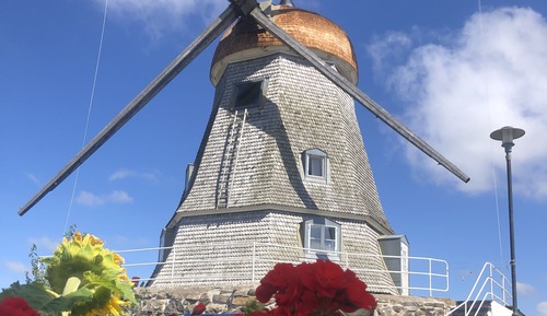 House (Mill)