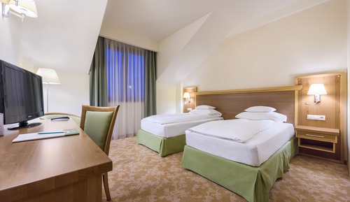 Standard Twin Room (Standard Twin Room Single Use)