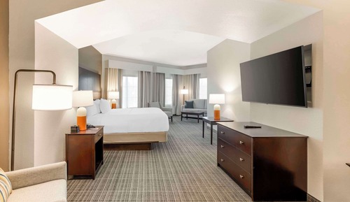 Suite, 1 King Bed with Sofa bed, Non Smoking
