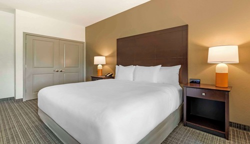 Room, 1 King Bed, Accessible, Non Smoking (Accessible Tub)