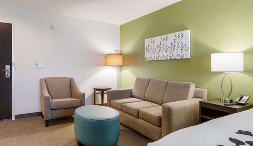 Suite, 1 King Bed, Accessible, Non Smoking