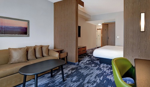 Suite, 1 King Bed with Sofa bed, Non Smoking (Mobility Accessible, Roll-in Shower)