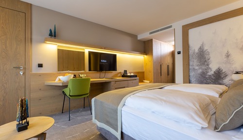 Superior Double or Twin Room