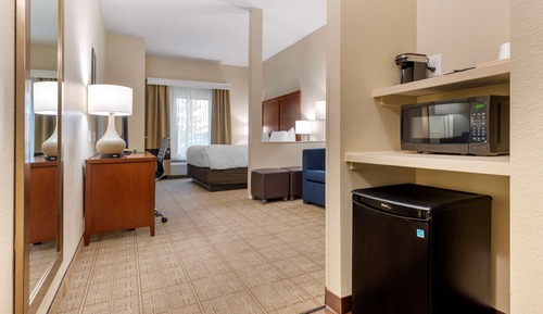 Suite, 1 King Bed with Sofa bed, Non Smoking