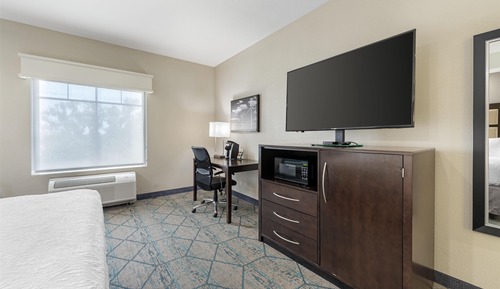 Standard Room, 1 King Bed, Refrigerator & Microwave