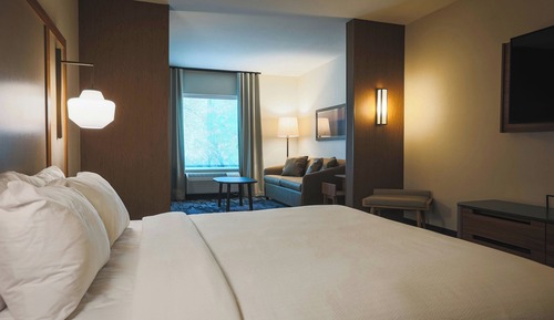 Suite, 1 King Bed with Sofa bed, Non Smoking, Partial Lake View