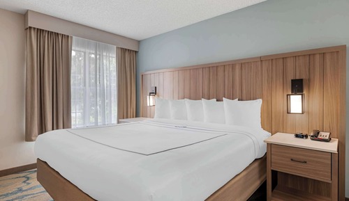 Suite, 1 King Bed with Sofa bed, Non Smoking (Upgrade)