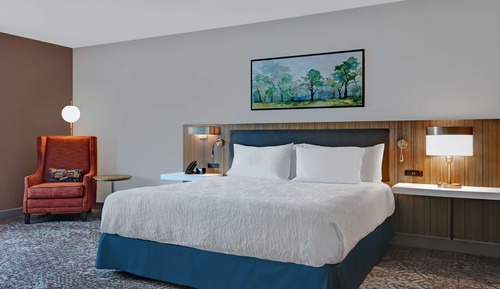 Room, 1 King Bed, Accessible (Roll-In Shower)