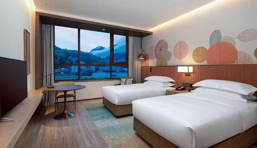 Basic Room, Multiple Beds