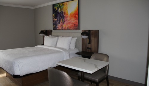 Deluxe Room, 1 Queen Bed, Non Smoking (Efficiency)