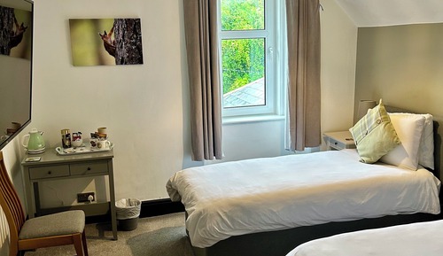 Premium Twin Room