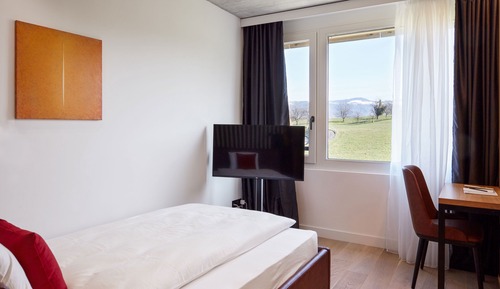 Business Single Room, 1 Large Twin Bed