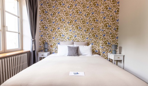 Luxury Double Room, Ensuite, Garden View (Chambre Chateldon)