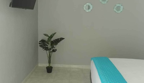 Comfort Apartment (#9)