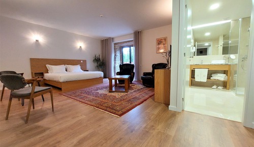 Superior Studio Suite, 1 King Bed, Terrace, Garden Area