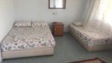 Basic Room, Multiple Beds, City View