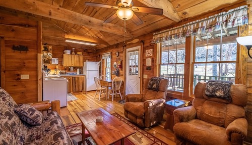 The Bear Cabin