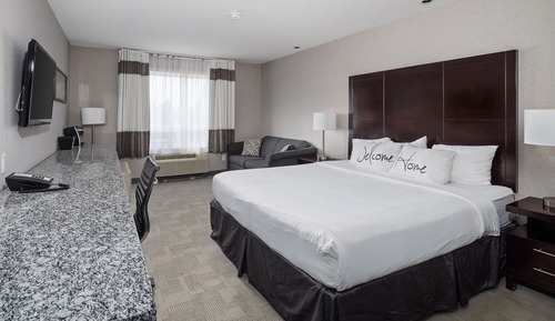 Standard Room, 1 King Bed with Sofa bed