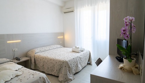 Double or Twin Room