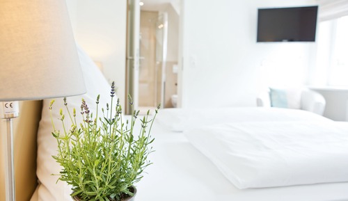 Standard Single Room, 1 Twin Bed