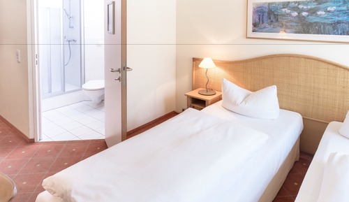 Standard Room, 1 Twin Bed
