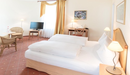 Standard Room, 1 Double Bed
