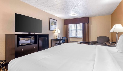 Standard Room, 1 King Bed, Non Smoking, Refrigerator & Microwave