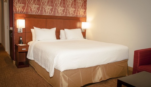 Room, 1 King Bed with Sofa bed (Hearing Accessible)