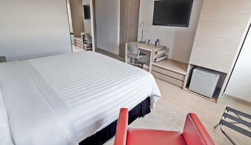Standard Double Room, 1 King Bed