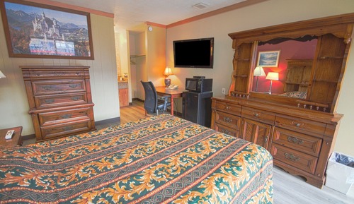 Room, 1 Twin Bed